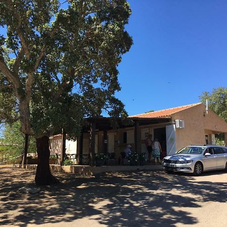 Camping Pezza Cardo Porto-Vecchio  Eksteriør bilde