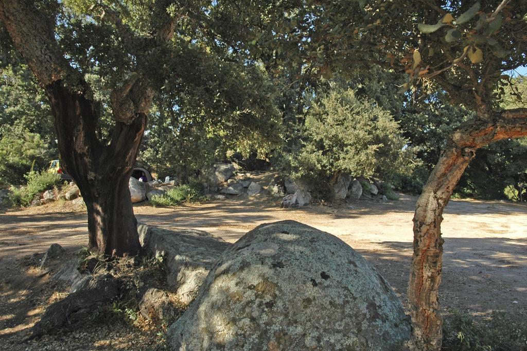 Camping Pezza Cardo Porto-Vecchio  Eksteriør bilde